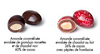 Amandes et chocolat, Boite chocolats et amandes gourmandes 306 g